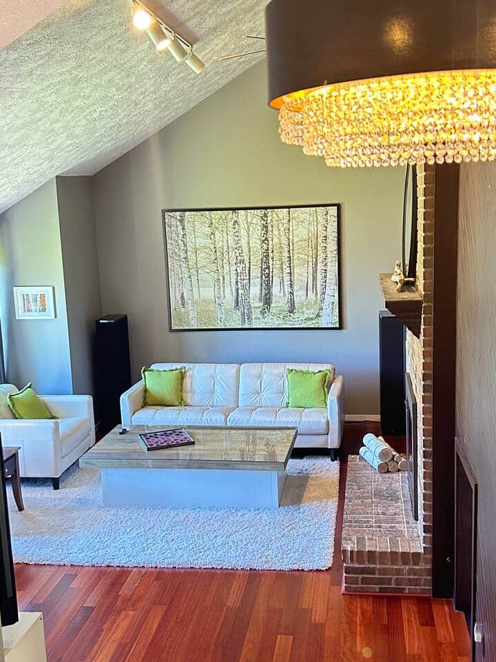 Welcome to the “Birch Room”!  Feel the vibe of Northern Michigan while relaxing and catching up with your group!