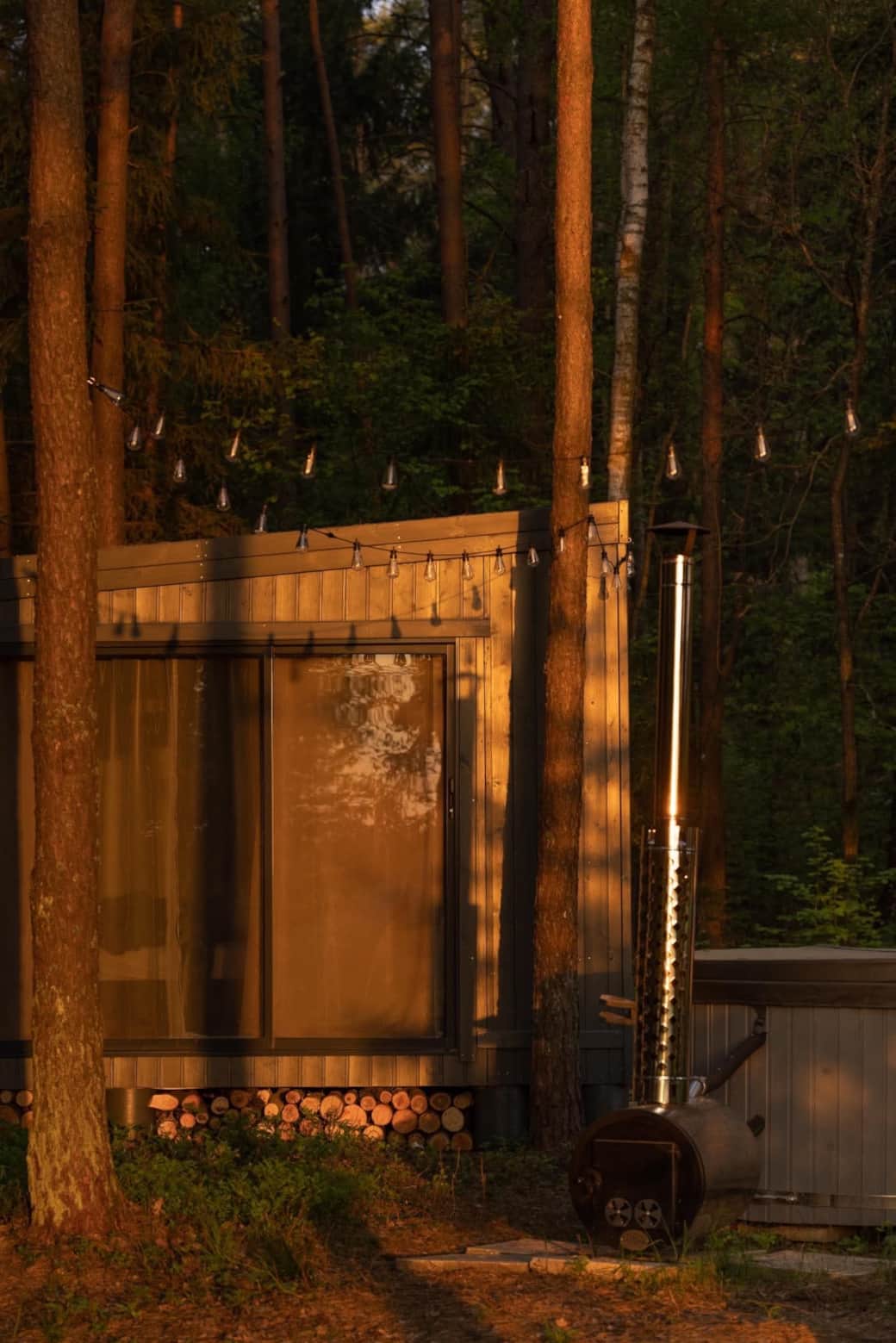 Forest therapy under the fir tree Forest therapy under the fir tree