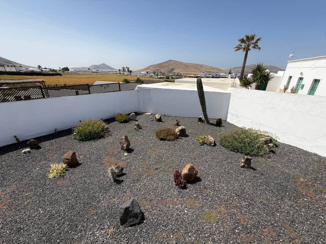 Jardín de cactus con vistas a la montaña y a la costa de Arrecife