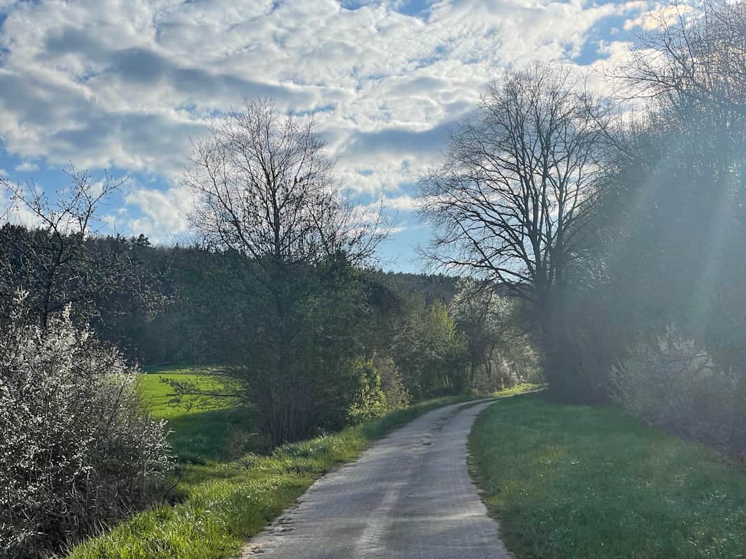 Gut zu fahren: Steigerwald Trails Gut zu fahren: Steigerwald Trails