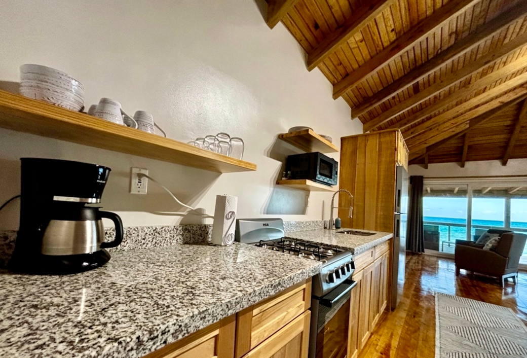 Quatro Vista Unit B3 Kitchen