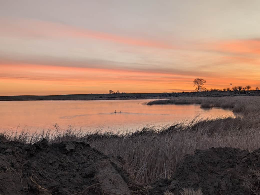 PXL 20260327 130236156 PXL 20260327 130236156