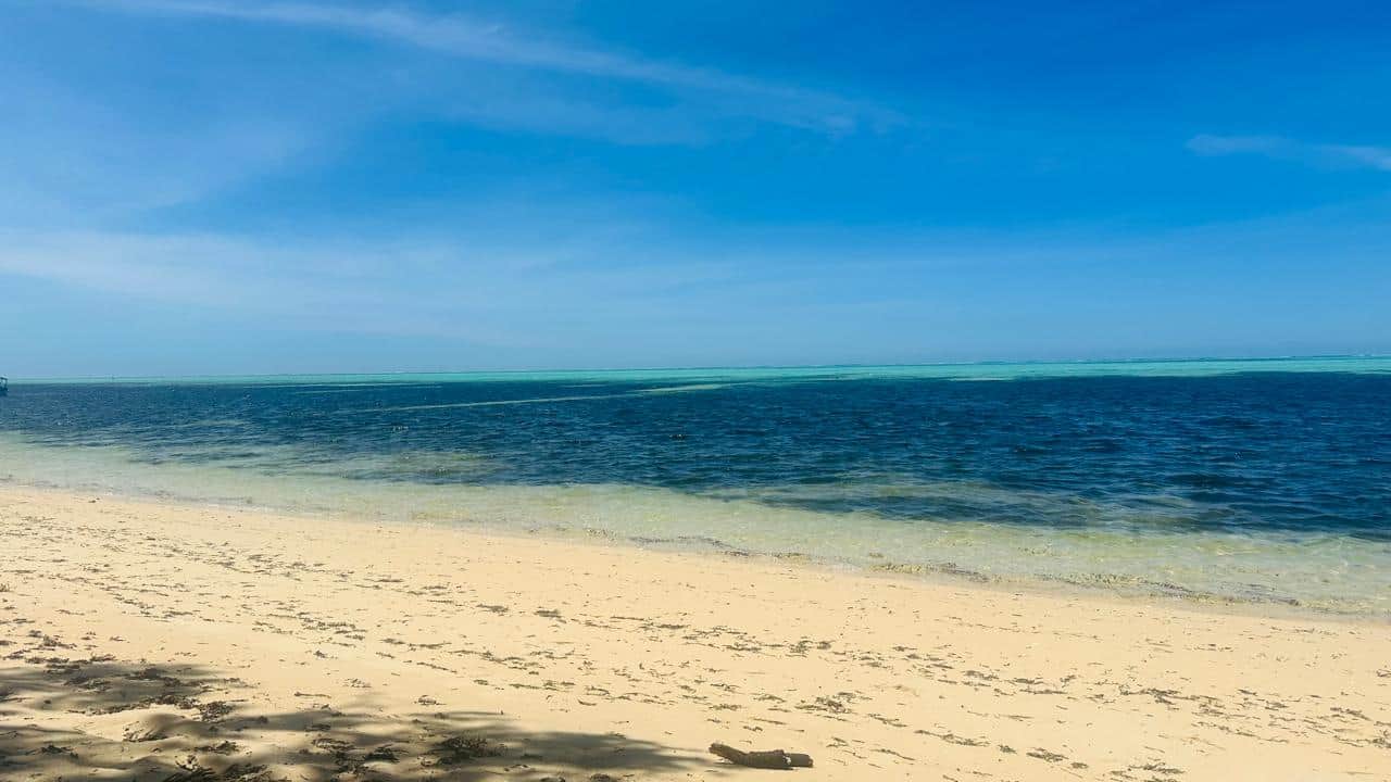 https://l.icdbcdn.com/oh/412cc9e9-2acd-430b-b157-96cd8d9b7903.jpg?w=2080-2