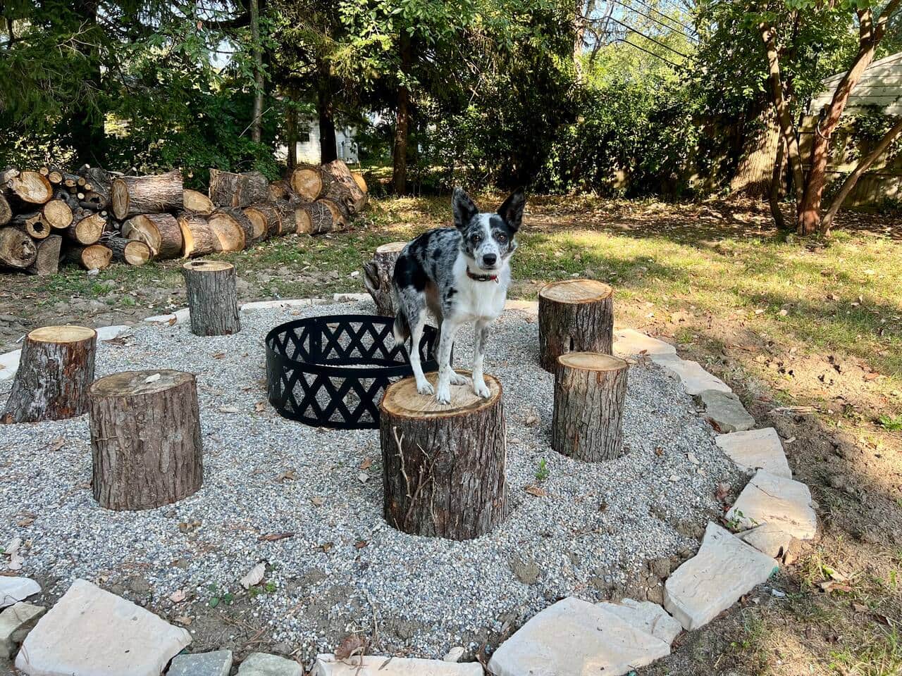 Firepit with special guest Ella