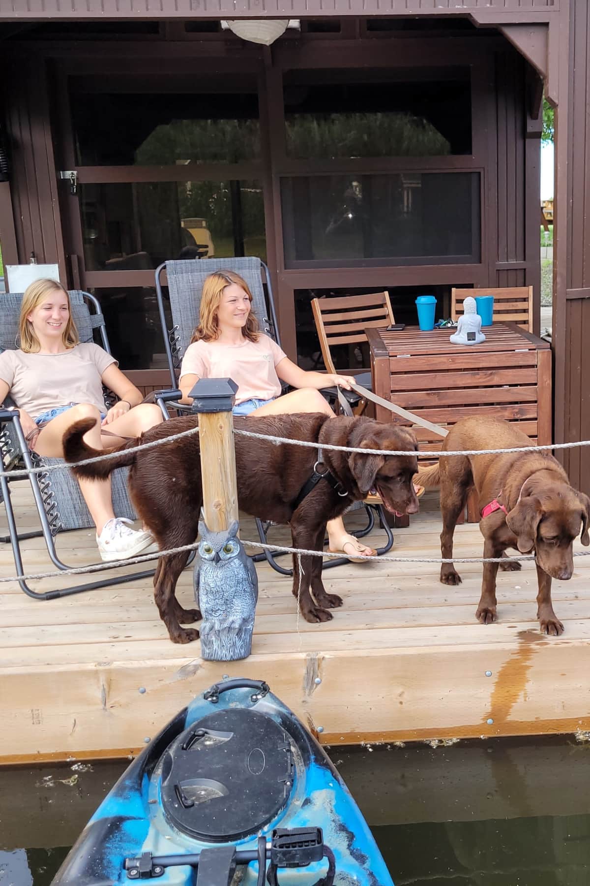 Terrasse aménagée pour la detente et les repas . Chiens bienvenus.