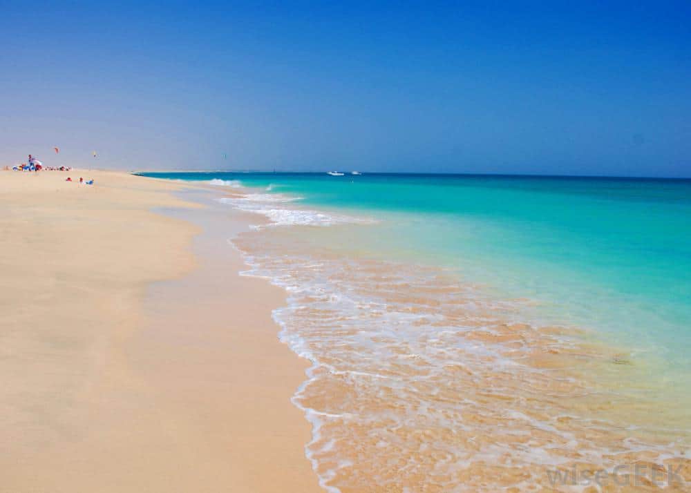 Nearby Jupiter Beach