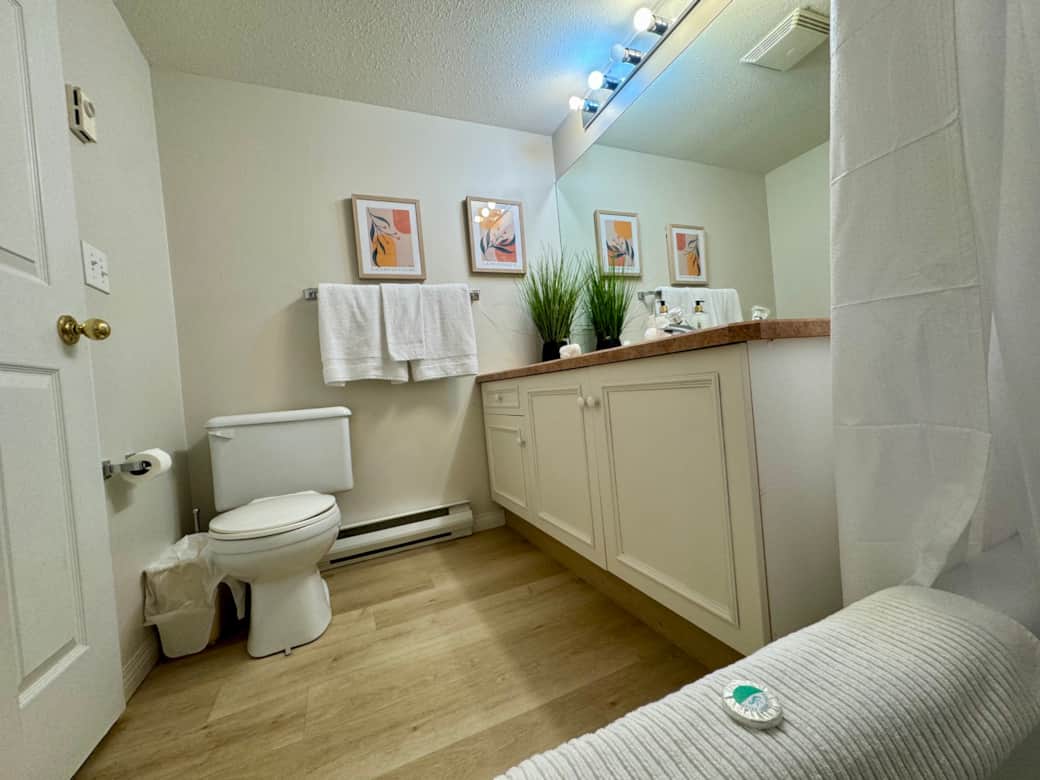 317 Main Level Bathroom