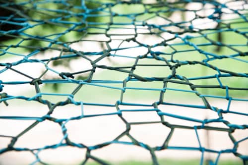 Tree net