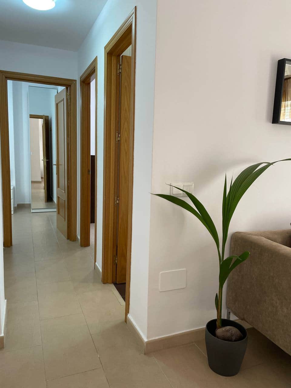 two rooms malaga center apartment