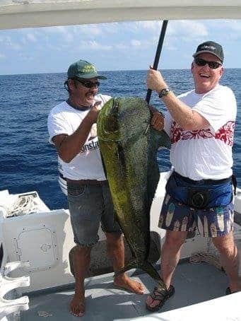 Durado aka Mahi Mahi - Available most of the year!
