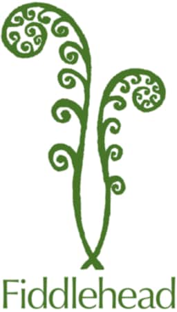 Fiddlehead