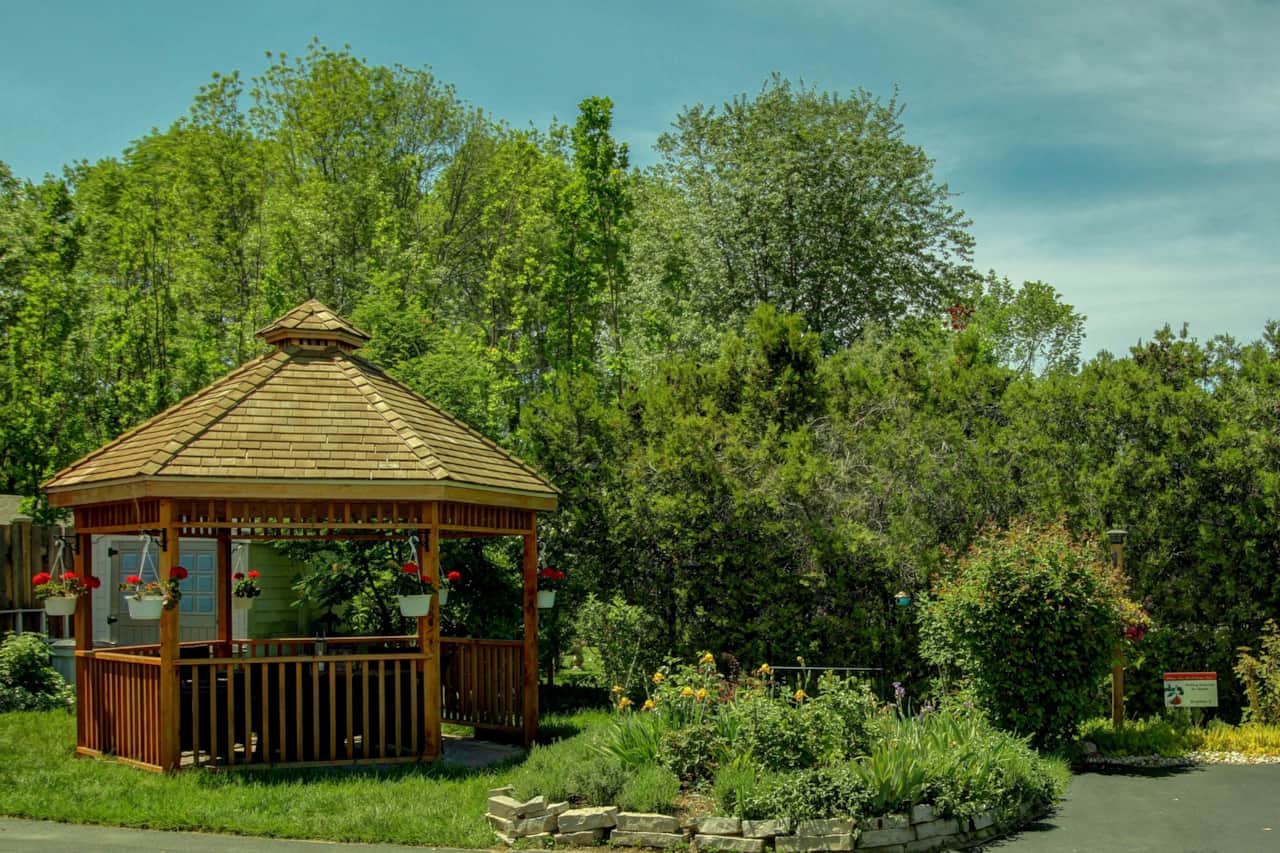 Williams Gate Bed and Breakfast - Backyard