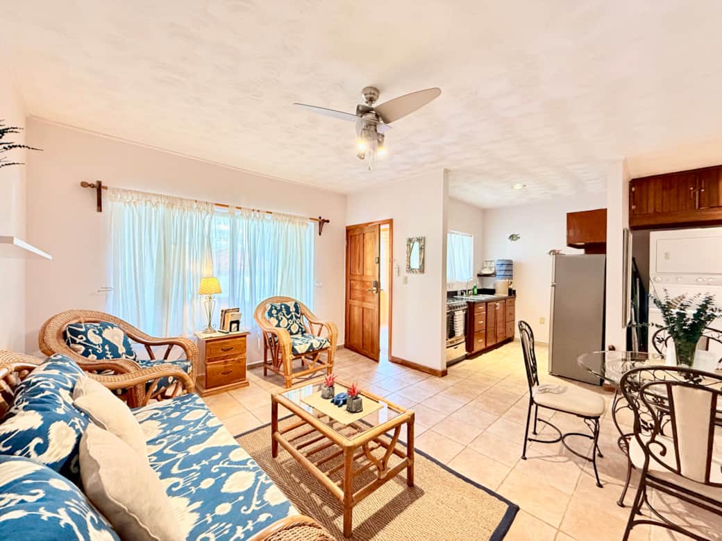Living Room Area