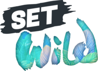 SetWild