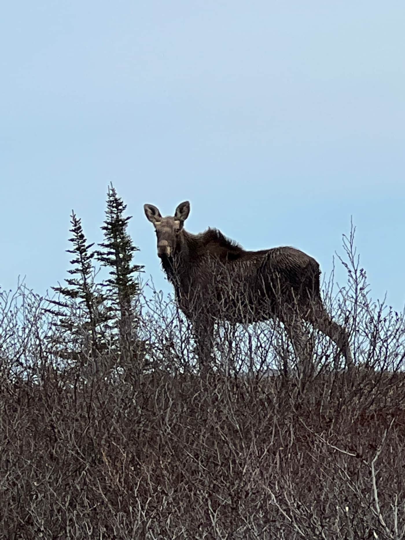 Photo shared by a guest at Islands in the Bay Cottages
