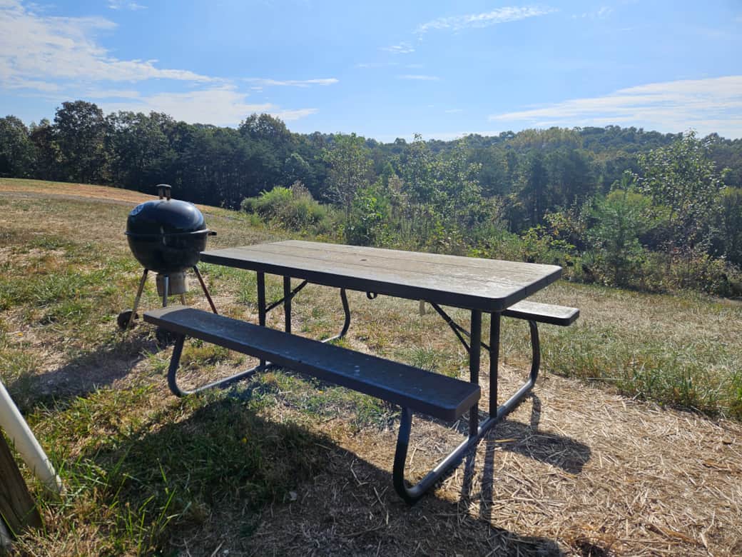 Picnic