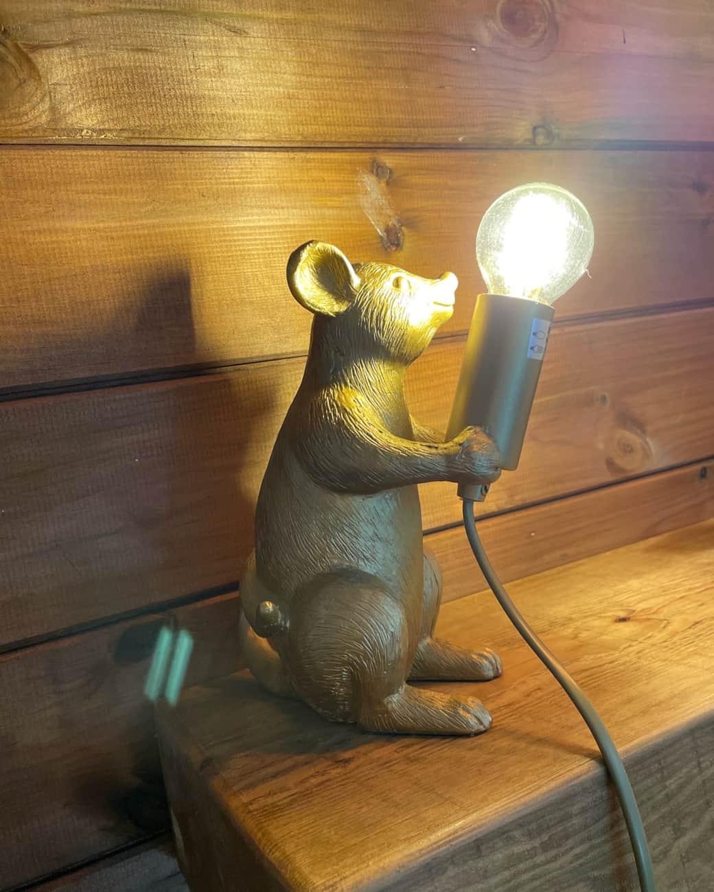 Mouse light