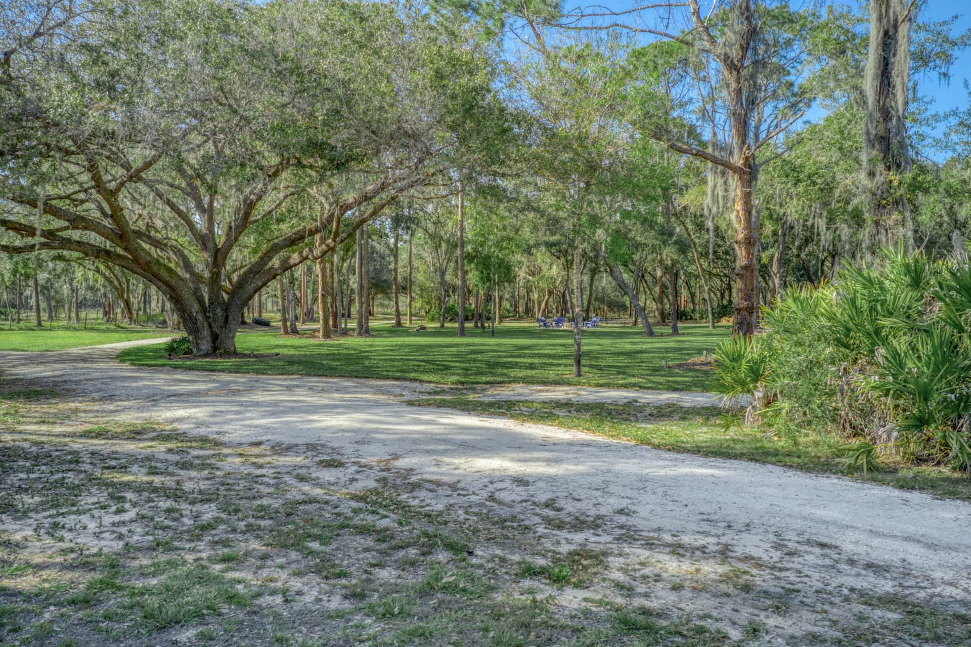 Grand oaks and lawn gathering area