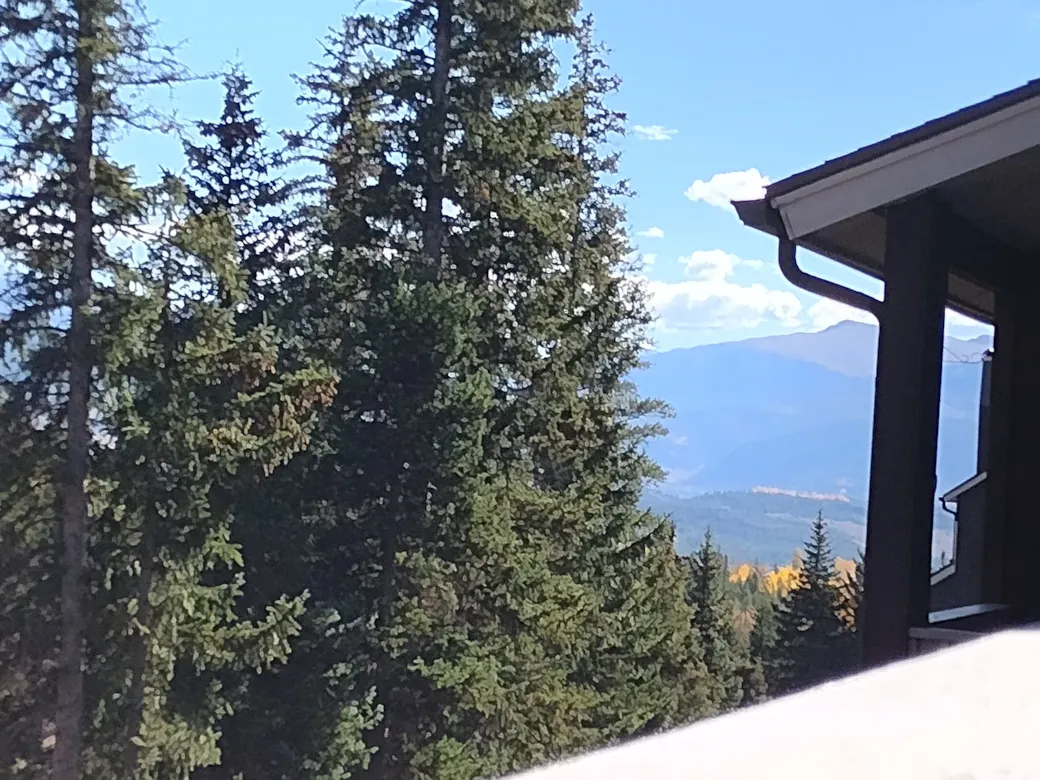 View from Balcony