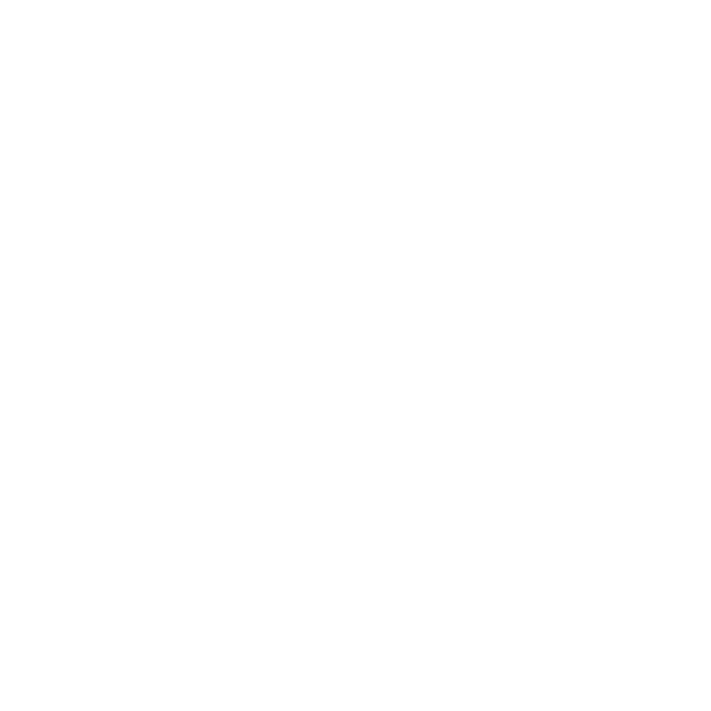 Chalet Bergnest 