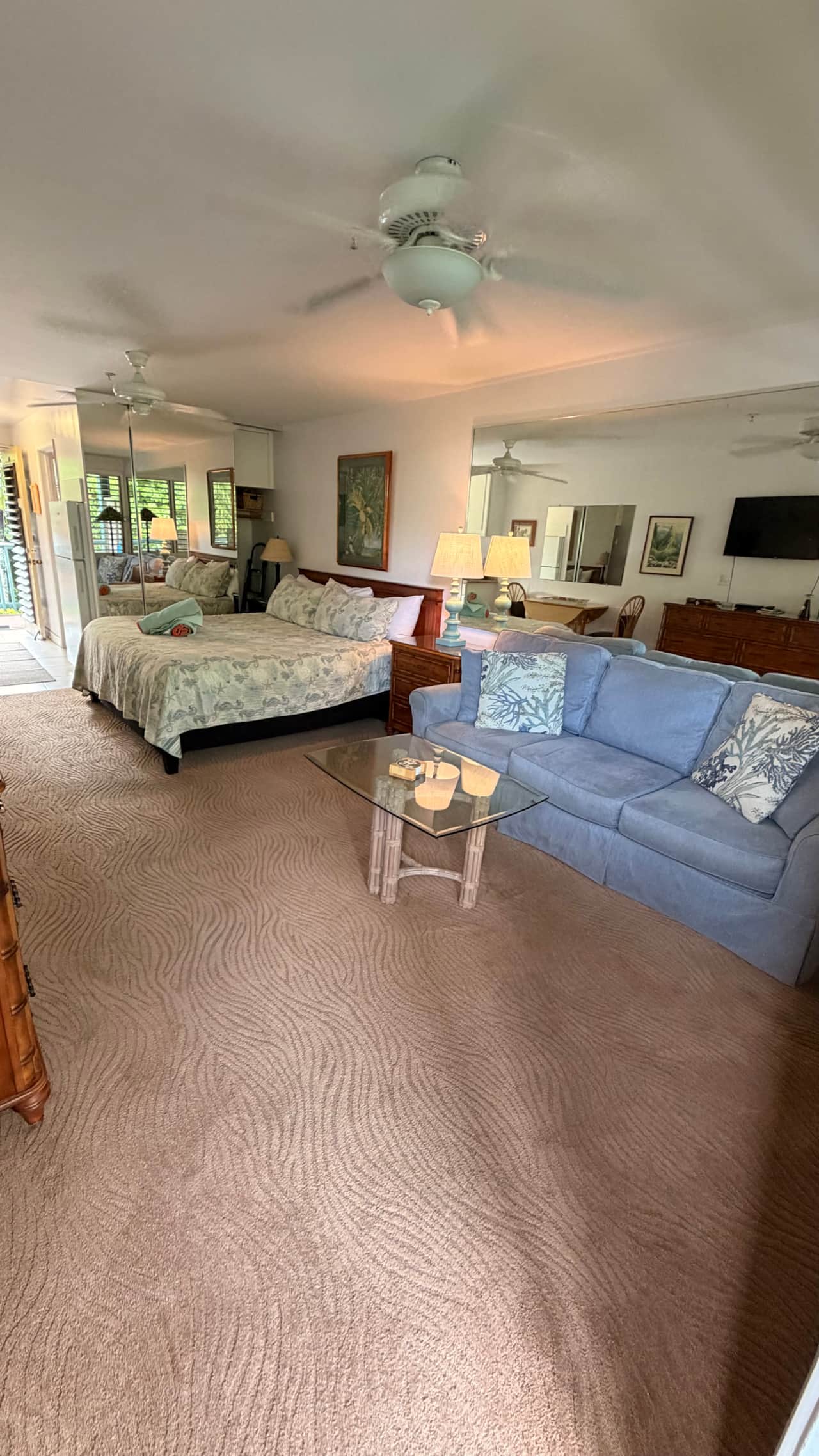 Living/Bedroom