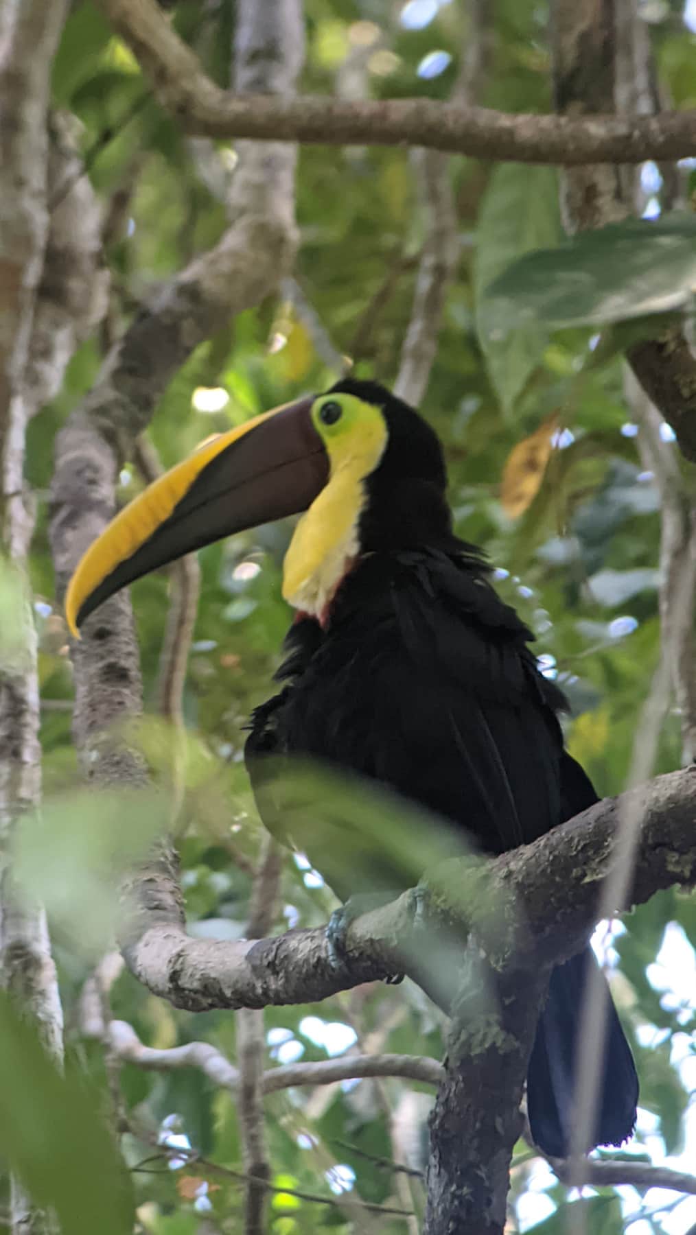 Manuel Antonio National Park