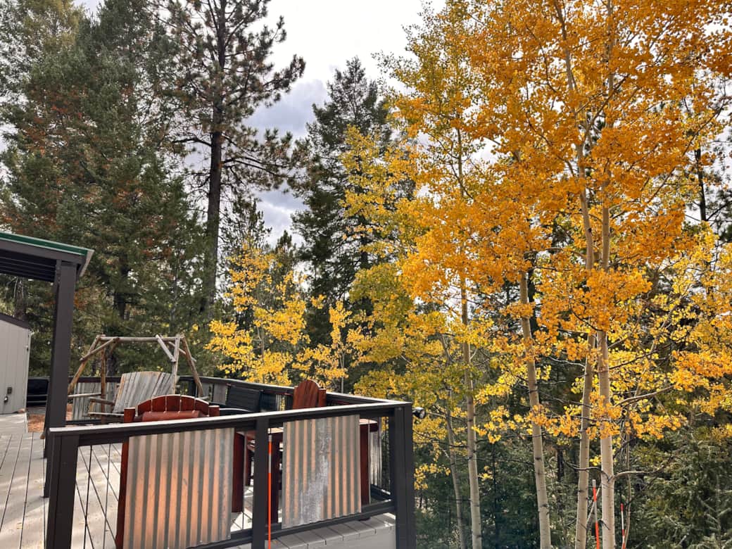 Aspens off of deck