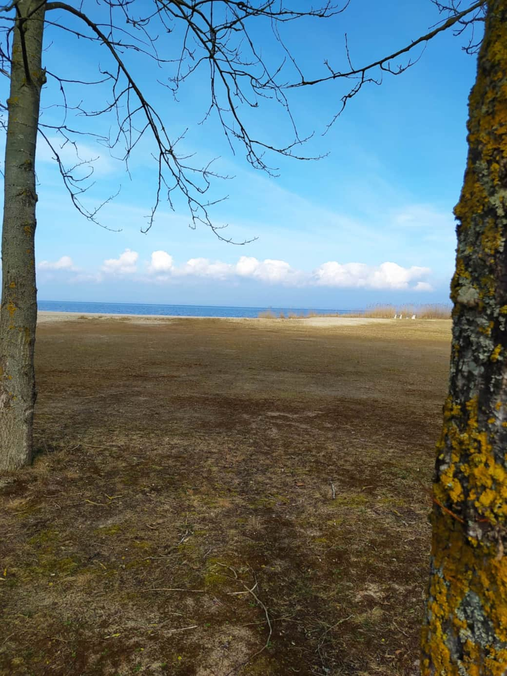 Blick auf den Strand in Grambin