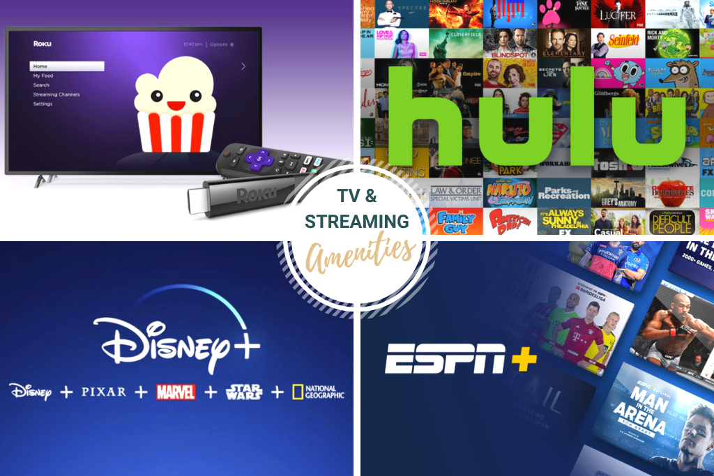 All Roku TVs include FREE Hulu, Disney Plus and ESPN Plus!