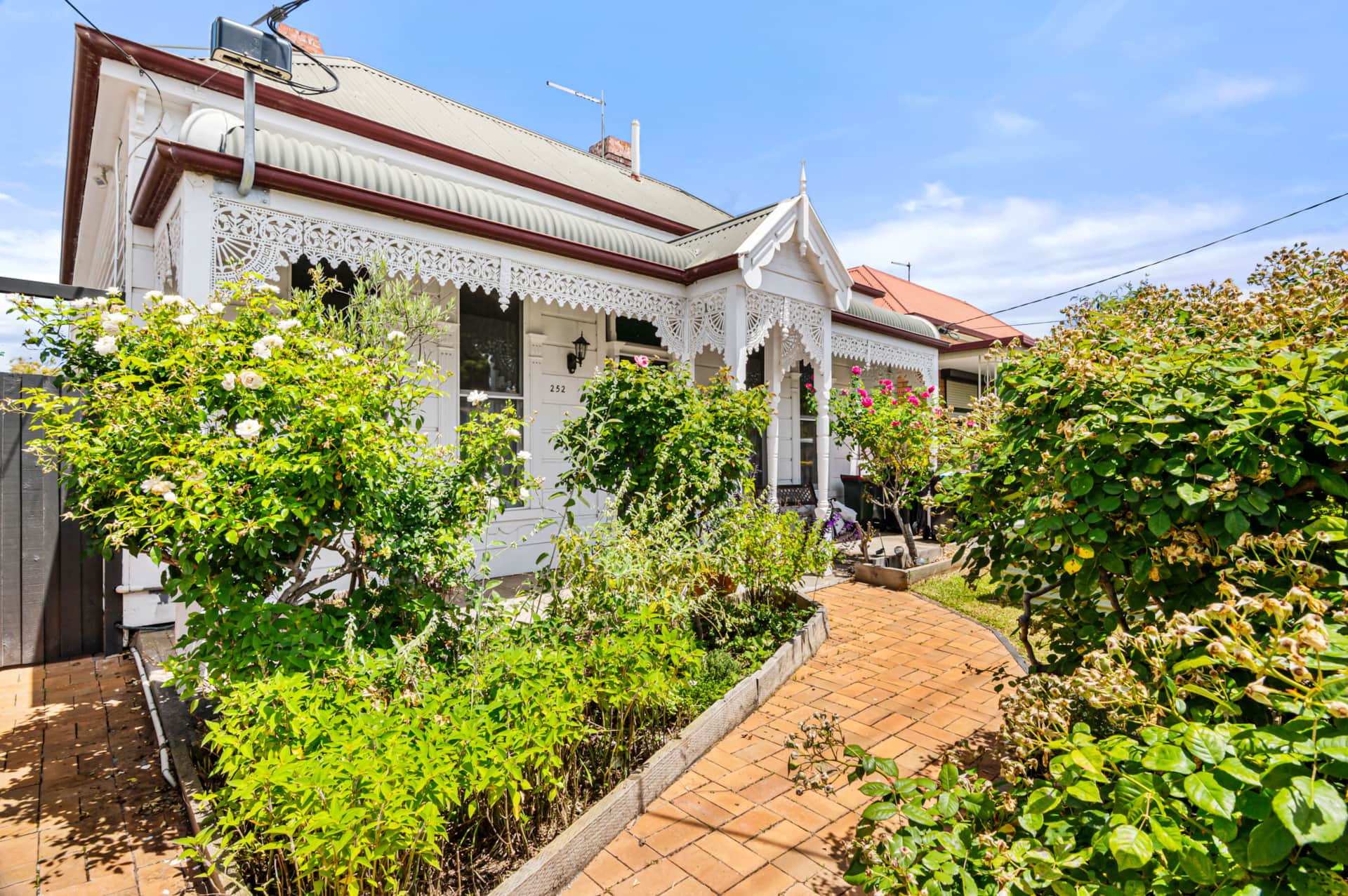 Front yard at 252Brunswick