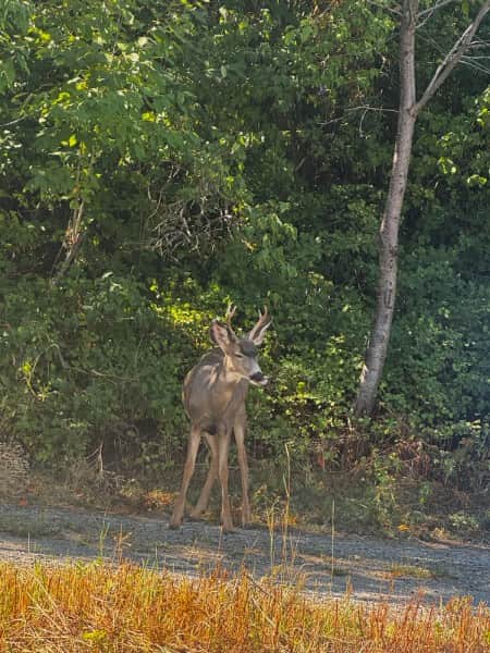 Get to know the locals