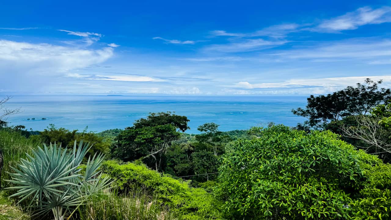 OCEAN VIEW
