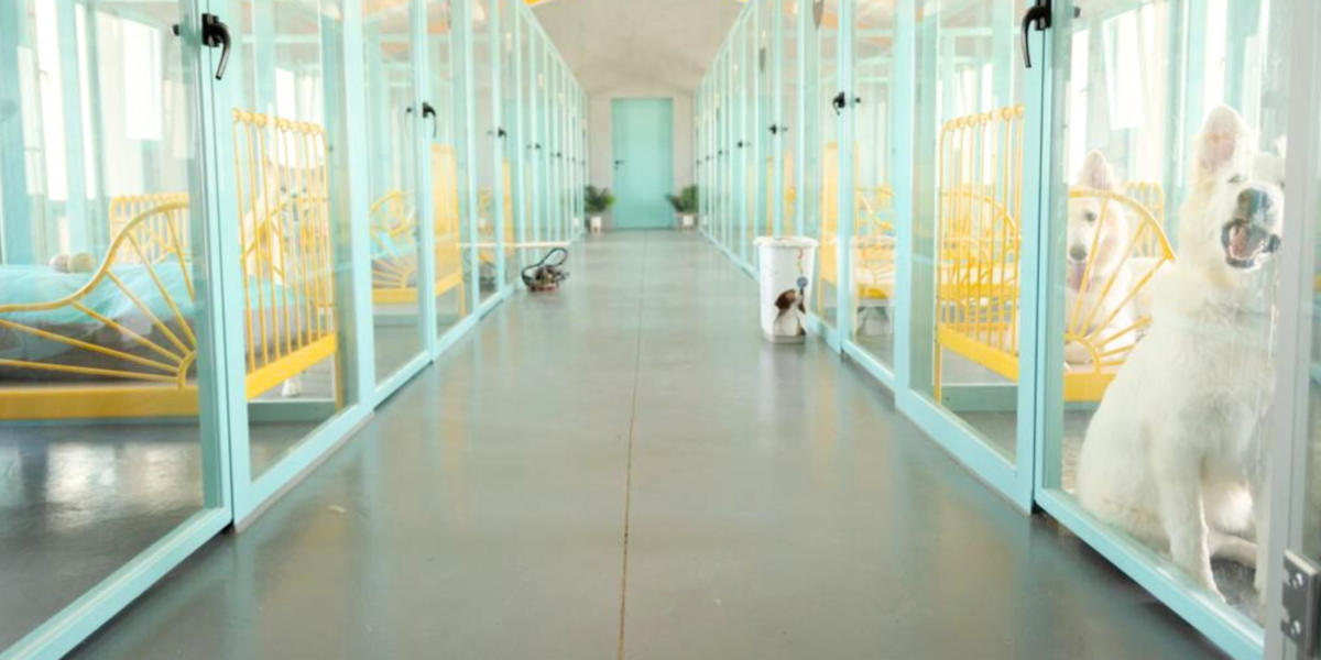 Hotel Canino y Felino Vetoven | Residencia Canina
