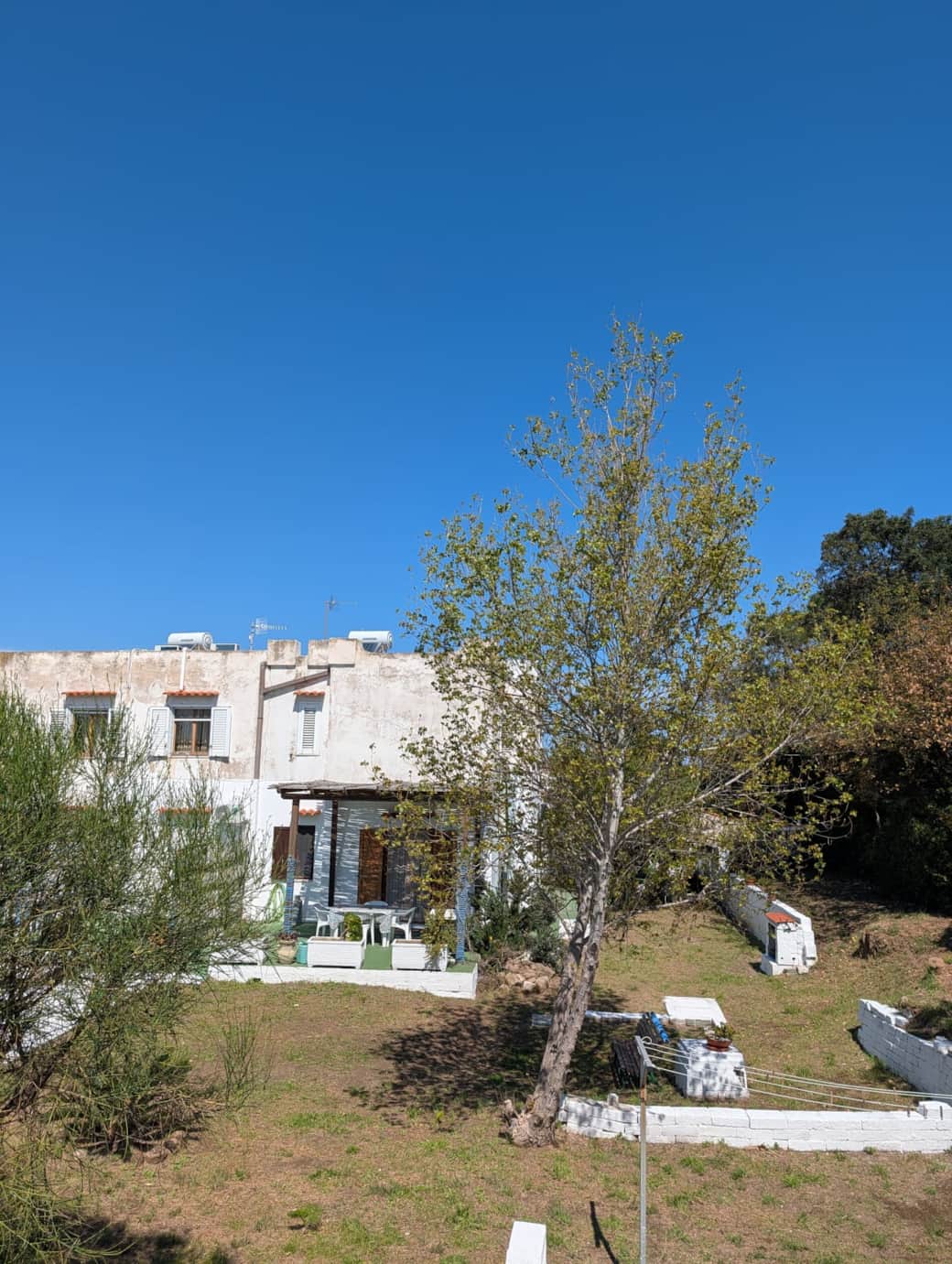 WhatsApp Image 2026-04-04 at 12.30