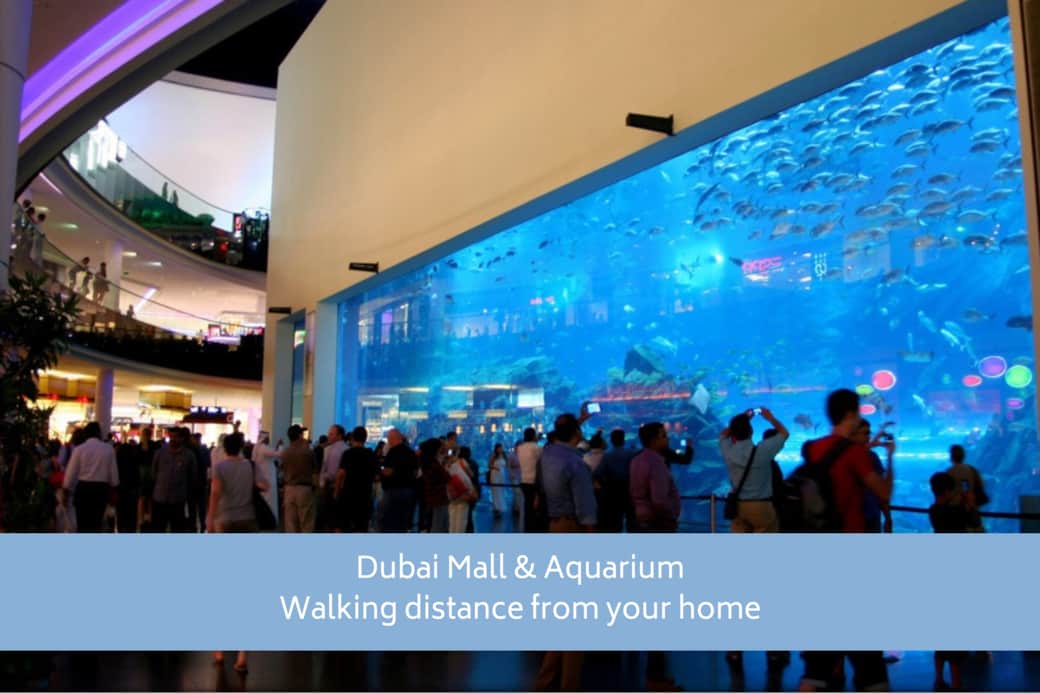 Dubai Mall & Aquarium Walking distance from your home