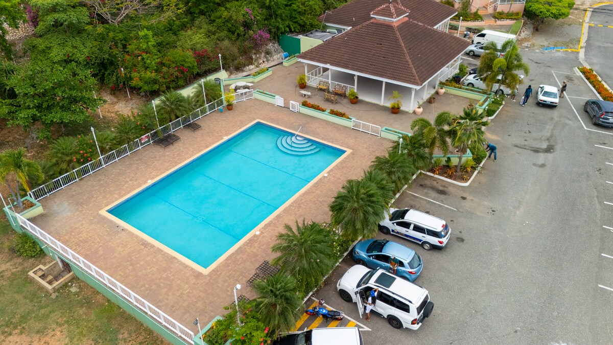 Community pool surrounded by greenery