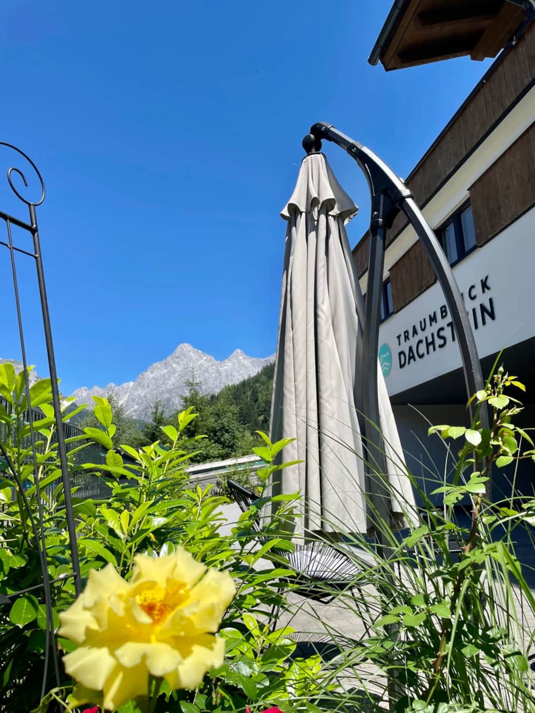 ... und der Dachstein!