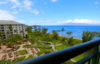 Studio Suite: OF, OCN, GRD or ISL VIEW
