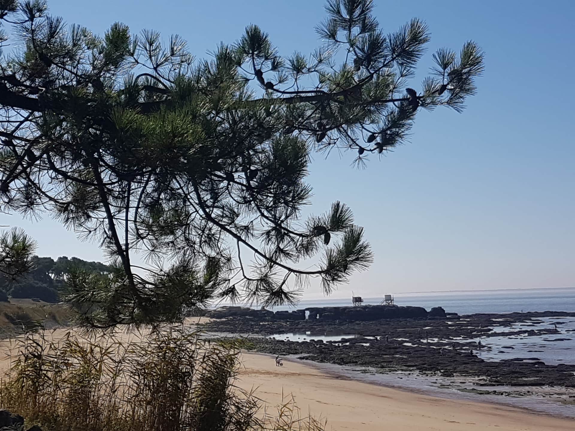 Le coin des infos 1 451b2ece d355 4fec a353 6ea2edfb1af8