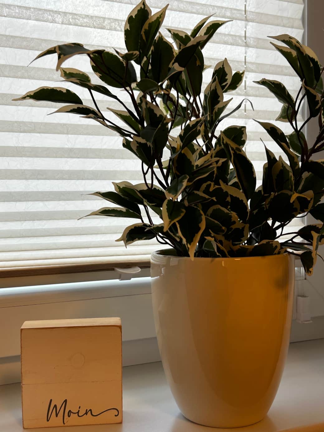 MOIN und Herzlich Willkommen