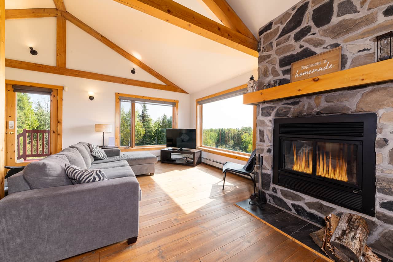 Living room and fireplace