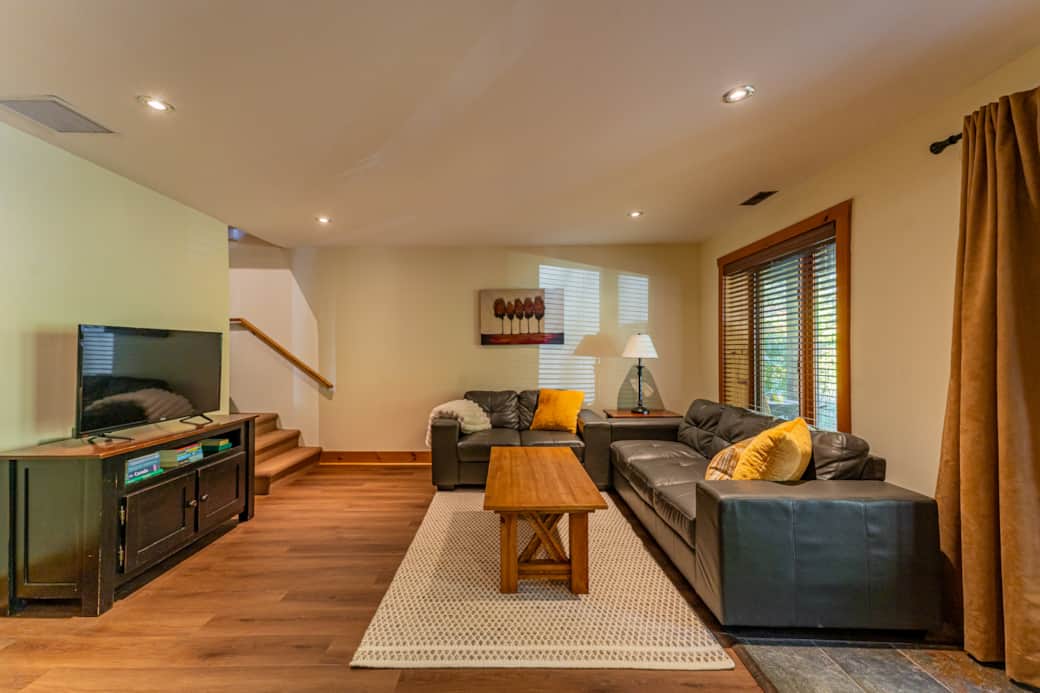 Basement - TV Room