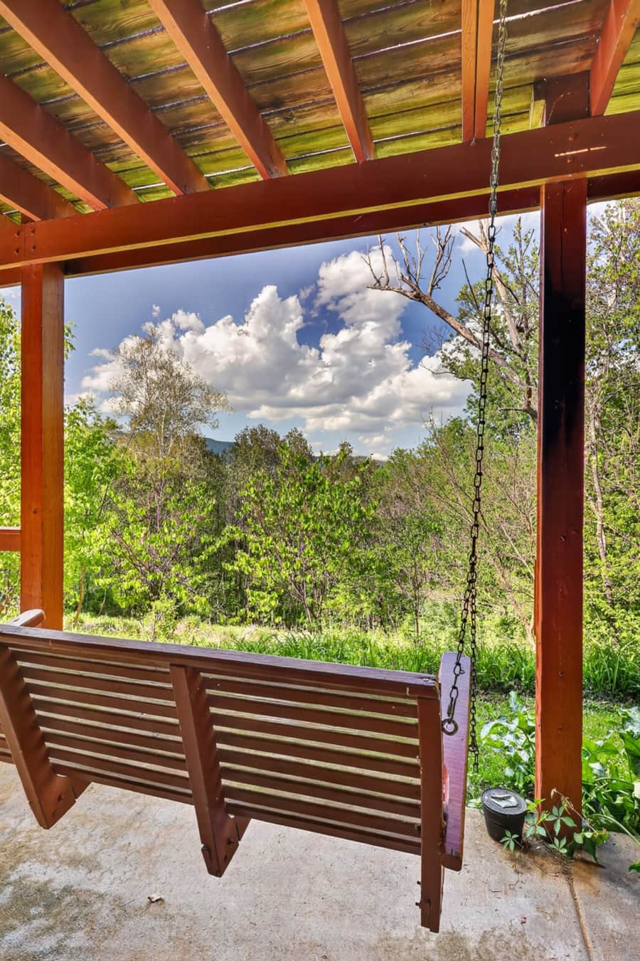 Forest view from the deck