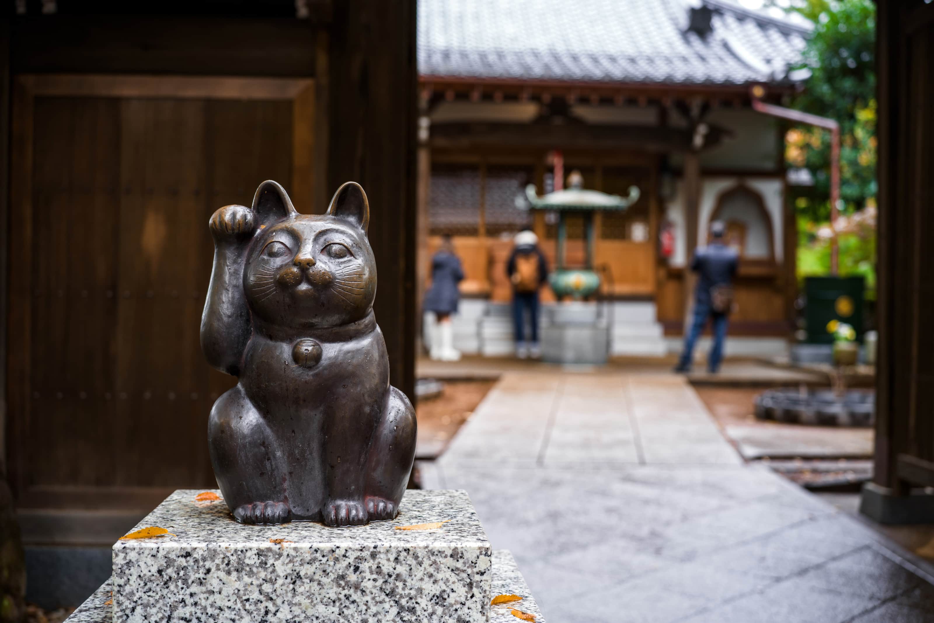 その他 Akihabara Frowers Nekoemon UR Neko Neko Stays