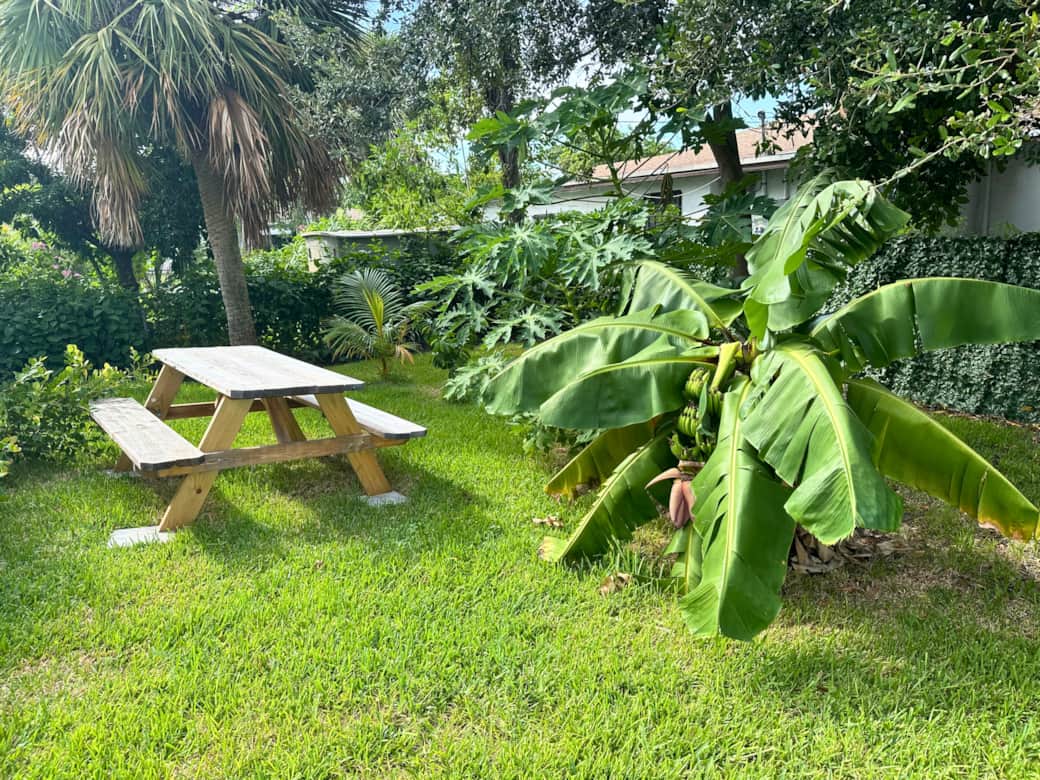 Backyard– Enjoy outdoor meals under tropical fruit trees.