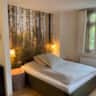 Rental image