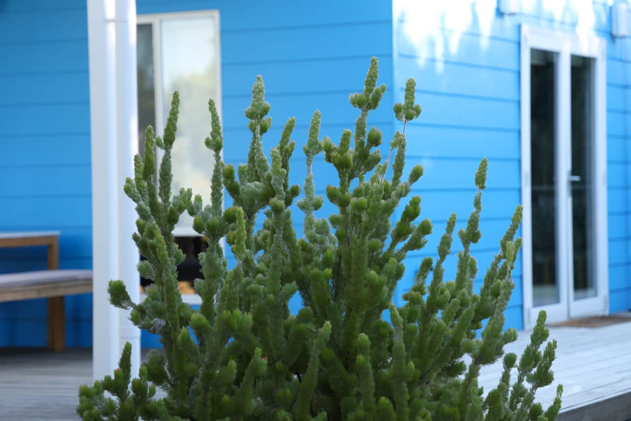 Robe Accommodation Jonas Blue Sleeps 10 