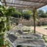 Rental image