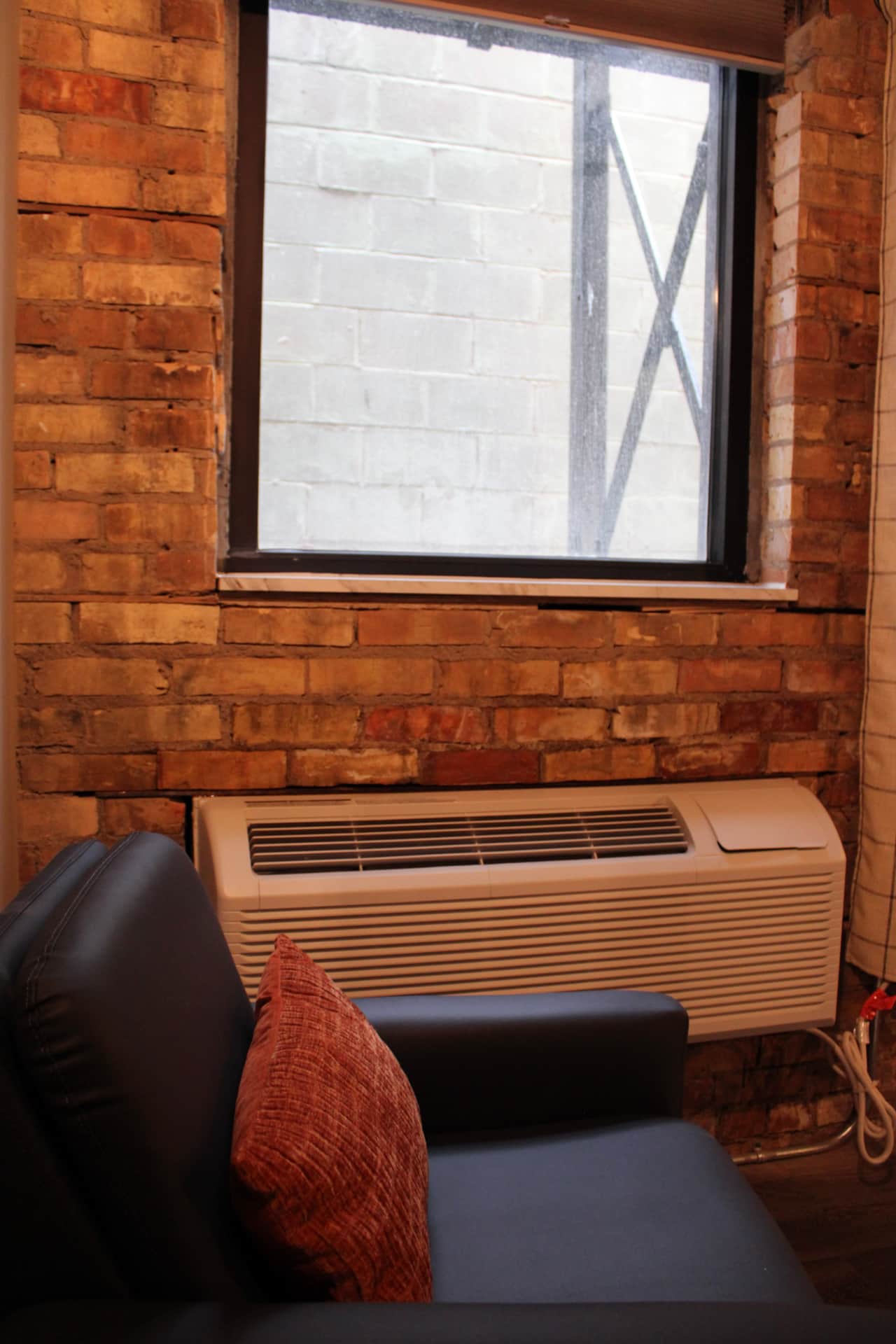 The Rex, window view
