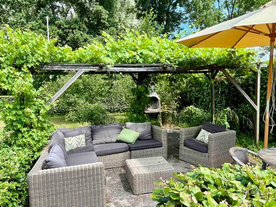 Garden lounge area